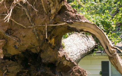 How to File a Hail Damage Roof Insurance Claim in Texas
